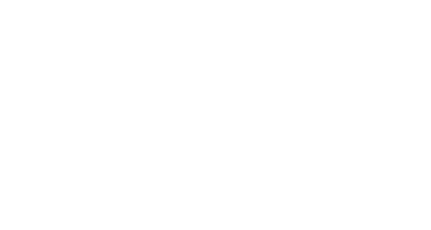Sierra Transport, LLC